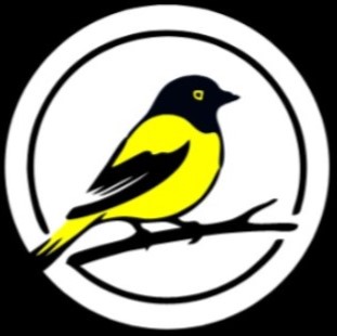 Hunza Oriole